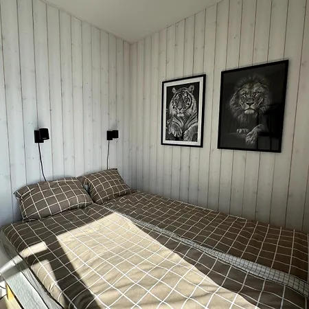 Modern And Cozy Fjord View